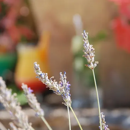 Ξενοδοχείο 83 3*